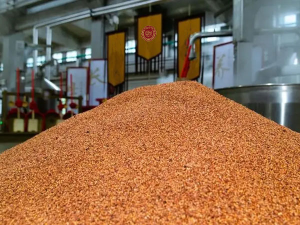 顆粒歸倉，名谷酒業第一階段收糧工作完成